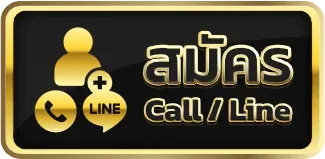 dk7 สล็อตvip สมัคร